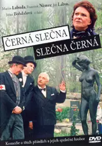 Plakat filmu Černá slečna slečna Černá
