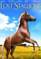 plakat filmu Lost Stallions: The Journey Home