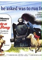 plakat filmu Ride a Wild Pony