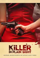 plakat serialu In Plain Sight