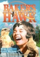plakat filmu Baker's Hawk