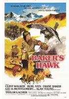 plakat filmu Baker's Hawk