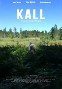 Plakat filmu Kall