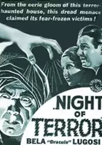 Plakat filmu Night of Terror