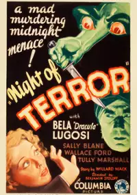 Plakat filmu Night of Terror