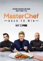 plakat - Masterchef (2010)