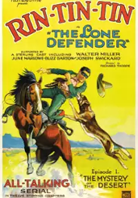 Plakat filmu The Lone Defender