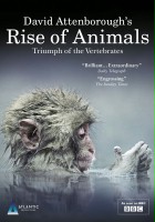 plakat filmu Narodziny zwierząt według Davida Attenborough