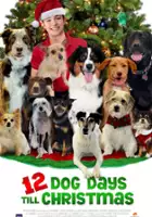 Vanesa Lavado / 12 Dog Days of Christmas