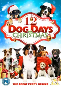 Plakat filmu 12 Dog Days of Christmas