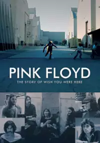 Plakat filmu Pink Floyd: The Story of Wish You Were Here