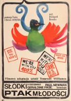 plakat filmu Słodki ptak młodości