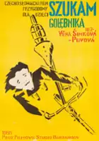 plakat filmu Szukam gołębnika