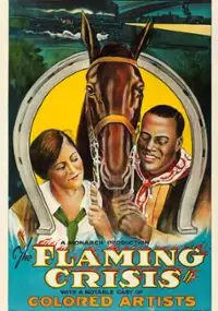 Plakat filmu The Flaming Crisis