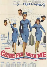 Plakat filmu Zakochane stewardesy