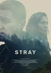 Plakat filmu Stray