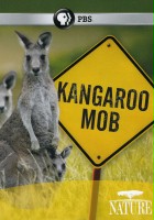 plakat filmu Kangaroo Mob