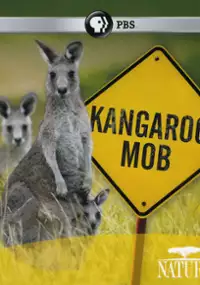 Plakat filmu Kangaroo Mob