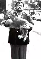 Dinka Jeričević / Hrvatske katedrale