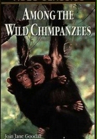 plakat filmu National Geographic's Among the Wild Chimpanzees