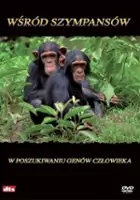 plakat filmuNational Geographic's Among the Wild Chimpanzees