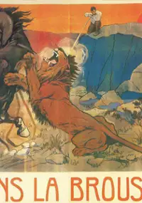 Plakat filmu Dans la brousse