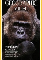 plakat filmu National Geographic's The Urban Gorilla