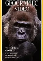plakat filmu The Urban Gorilla