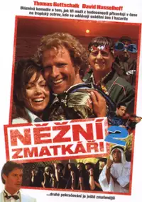 Plakat filmu Zwariowane świry: Powr&oacute;t z przyszłości