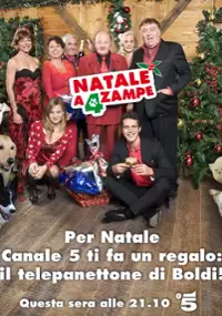 Plakat filmu Hotel na cztery łapy