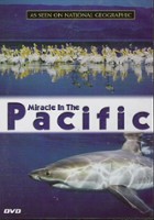plakat filmu Miracle in the Pacific