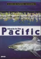 Larry Curtis / Miracle in the Pacific