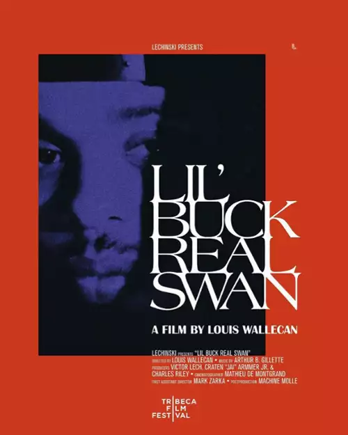 plakat filmu Lil’ Buck: On jest prawdziwym łabędziem
