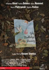 Plakat filmu Gdy nadlatują bociany