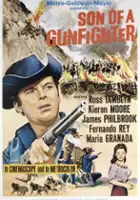 plakat filmu Syn rewolwerowca