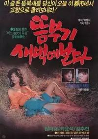 Plakat filmu Tteumbugi saebyeog-e nalda