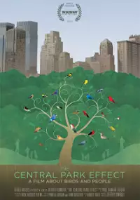 Plakat filmu The Central Park Effect