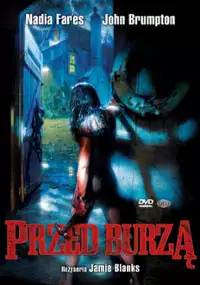 Plakat filmu Przed burzą