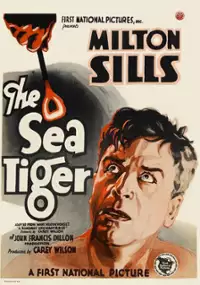 Plakat filmu Morskie tygrysy