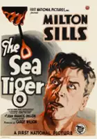 plakat filmu Morskie tygrysy