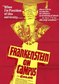 Plakat filmu Flick
