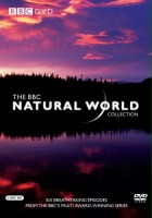 plakat filmu Świat przyrody