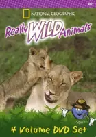 Jack Kaufman / Really Wild Animals
