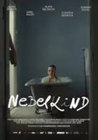 plakat filmu Nebelkind - Konec mlčení