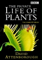 plakat filmu Prywatne życie roślin
