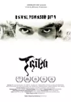 Shielbert Manuel / Tribu