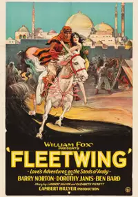 Plakat filmu Miłość beduina