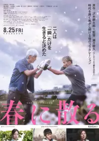 Plakat filmu Haru ni Chiru