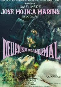 Plakat filmu Delírios de um Anormal