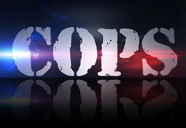 Reżyser "Zombieland" nakręci kumpelską komedię o policjantach
